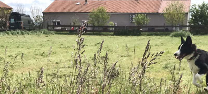 Camperette.jpeg