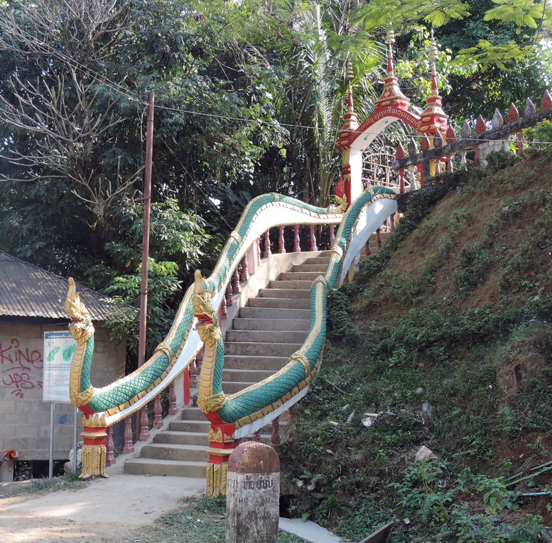 DSCN7161.jpg