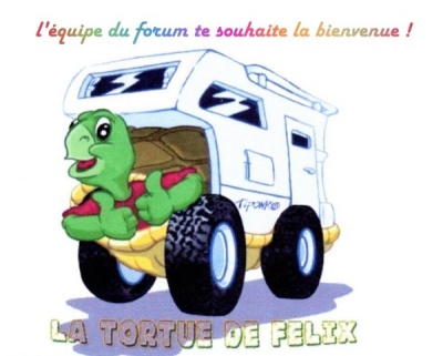 red2 Felix-crop.jpg