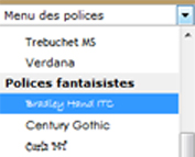 police.jpg